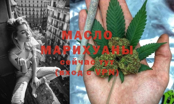 дмт Алексин